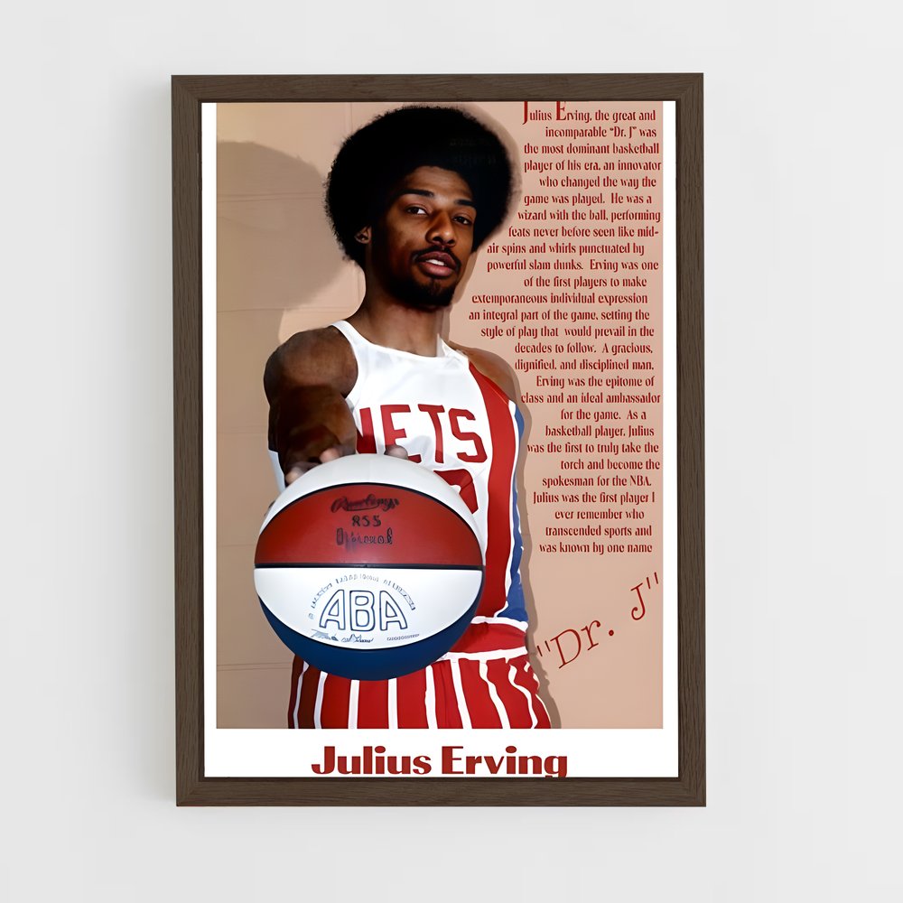 Poster L'Héritage du Dr. J. – affiche Basketball (vue 5)